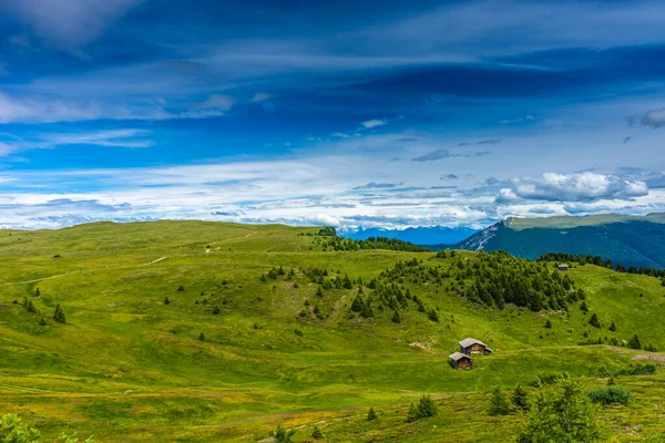 Italien Seiser Alm Seiser Alm Mit Langkofel Dolomiten Eine Schafherde — Stockfoto