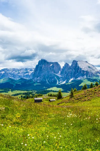Ιταλία Alpe Siusi Seiser Alm Sassolungo Langkofel Dolomite Ένα Μεγάλο — Φωτογραφία Αρχείου