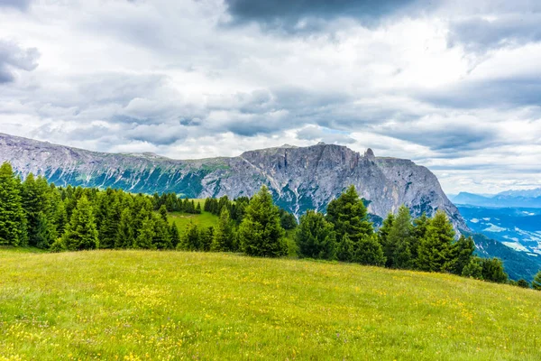 Ιταλία Alpe Siusi Seiser Alm Sassolungo Langkofel Dolomite Ένα Μεγάλο — Φωτογραφία Αρχείου