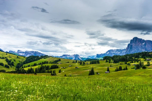 Alpe Siusi Seiser Alm Sassolungo Langkofel Dolomite Svěží Zelené Pole — Stock fotografie