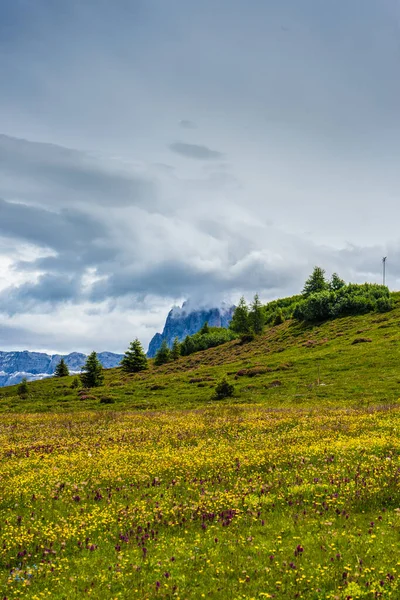 Italy Alpe Siusi Seiser Alm Sassolungo Langkofel Dolomite Велике Зелене — стокове фото