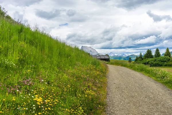 Alpe Siusi Seiser Alm Con Sassolungo Langkofel Dolomite Sendero Sinuoso — Foto de Stock