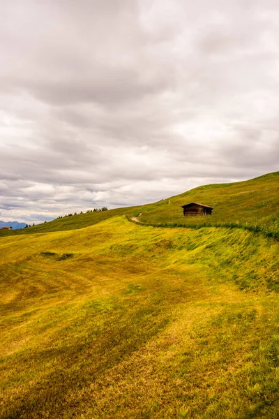 Italien Seiser Alm Seiser Alm Mit Langkofel Dolomiten Nahaufnahme Einer — Stockfoto