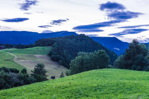 Italien Alpe Siusi Seiser Alm Med Sassolungo Langkofel Dolomite Ett — Stockfoto