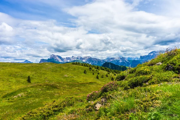 Italia Alpe Siusi Seiser Alm Con Sassolungo Langkofel Dolomite Gran —  Fotos de Stock