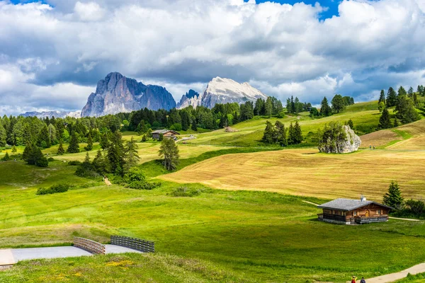 意大利Alpe Siusi Seiser Alm Sassolungo Langkofel Dolomite 一片背景为高山的田野 — 图库照片