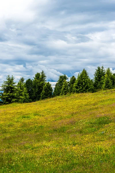 Италия Alpe Siusi Alm Фазоло Лангко Дамите Большое Зеленое Поле — стоковое фото