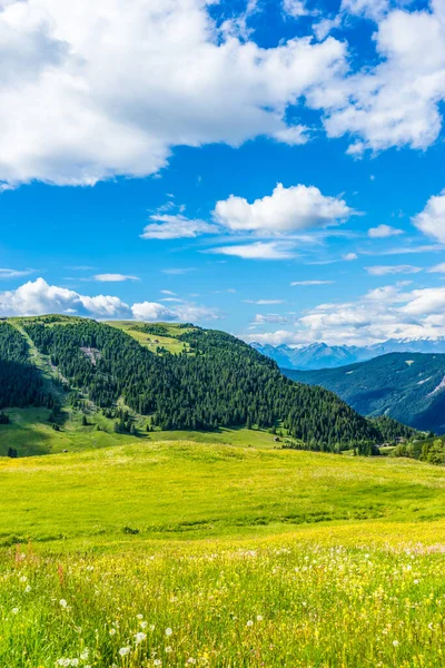 Włochy Alpe Siusi Seiser Alm Sassolungo Langkofel Dolomite Duże Zielone — Zdjęcie stockowe