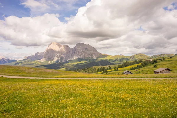 Itálie Alpe Siusi Seiser Alm Sassolungo Langkofel Dolomite Velké Zelené — Stock fotografie