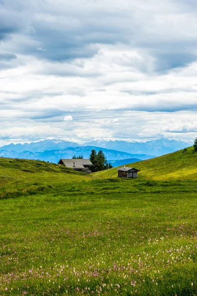 Alpe Siusi Seiser Alm Con Sassolungo Langkofel Dolomite Primer Plano — Foto de Stock