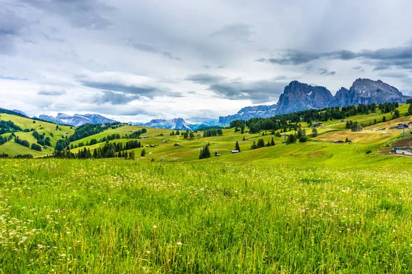 Itálie Alpe Siusi Seiser Alm Sassolungo Langkofel Dolomite Velké Zelené — Stock fotografie