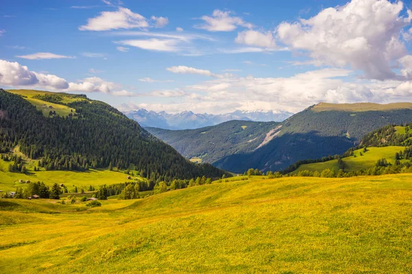 Italië Alpe Siusi Seiser Alm Met Sassolungo Langkofel Dolomiet Een — Stockfoto