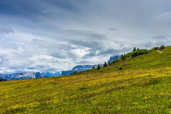 Italia Alpe Siusi Seiser Alm Con Sassolungo Langkofel Dolomite Gran — Foto de Stock