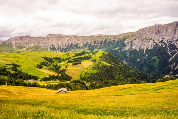 Italy Alpe Siusi Seiser Alm Sassolungo Langkofel Dolomite Large Green — Stock Photo, Image