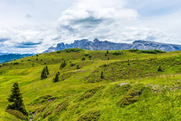 Itálie Alpe Siusi Seiser Alm Sassolungo Langkofel Dolomite Velké Zelené — Stock fotografie