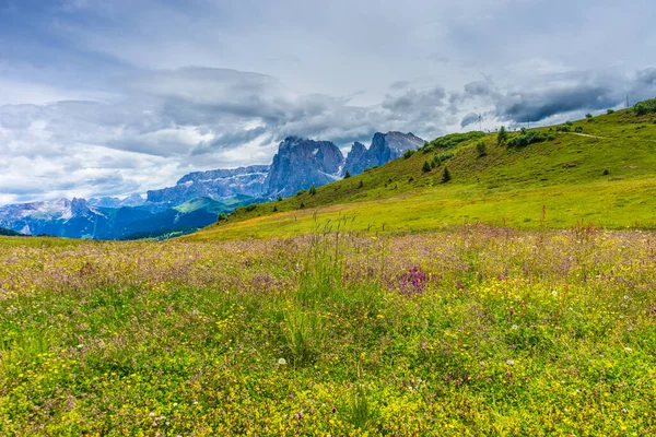 Italie Alpe Siusi Seiser Alm Avec Sassolungo Langkofel Dolomite Grand — Photo