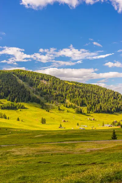 Alpe Siusi Seiser Alm Con Sassolungo Langkofel Dolomite Primer Plano — Foto de Stock