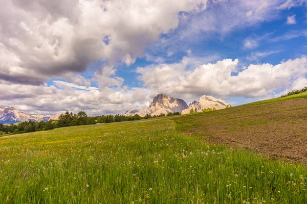 Italien Alpe Siusi Seiser Alm Med Sassolungo Langkofel Dolomit Ett — Stockfoto