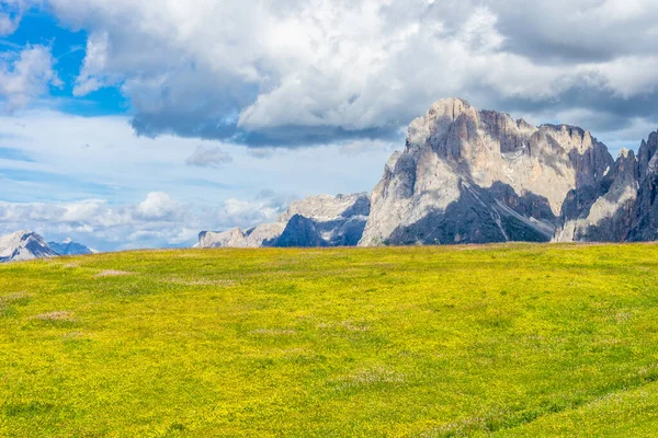 Italy Alpe Siusi Seiser Alm Sassolungo Langkofel Dolomite Велике Зелене — стокове фото