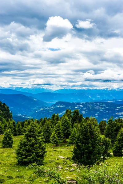 Italia Alpe Siusi Seiser Alm Con Sassolungo Langkofel Dolomite Árbol — Foto de Stock