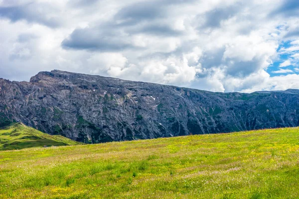 Italia Alpe Siusi Seiser Alm Con Sassolungo Langkofel Dolomite Gran — Foto de Stock