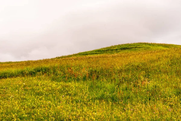 イタリア アルプ シウシ サッソルンゴ ランコフェル ドロマイトとセイザー アルム コンザ プレーリー自然地域を背景に緑豊かなフィールドに立っている人 — ストック写真