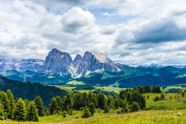 Włochy Alpe Siusi Seiser Alm Sassolungo Langkofel Dolomite Duże Zielone — Zdjęcie stockowe