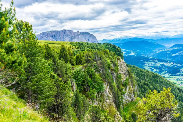 Itálie Alpe Siusi Seiser Alm Sassolungo Langkofel Dolomite Strom Horou — Stock fotografie