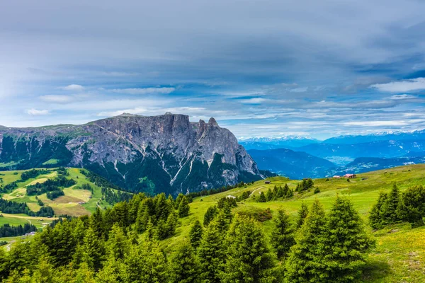 Itálie Alpe Siusi Seiser Alm Sassolungo Langkofel Dolomite Výhled Svěží — Stock fotografie