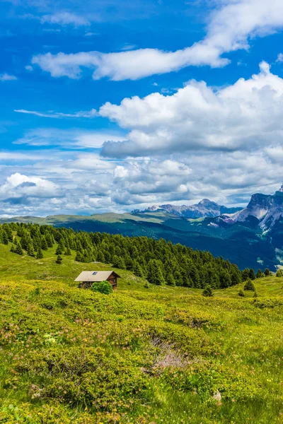 Itália Alpe Siusi Alm Seiser Com Sassolungo Langkofel Dolomite Grande — Fotografia de Stock