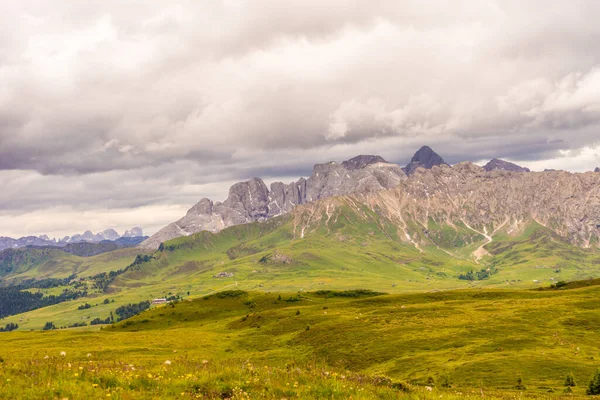 Itálie Alpe Siusi Seiser Alm Sassolungo Langkofel Dolomite Stádo Ovcí — Stock fotografie