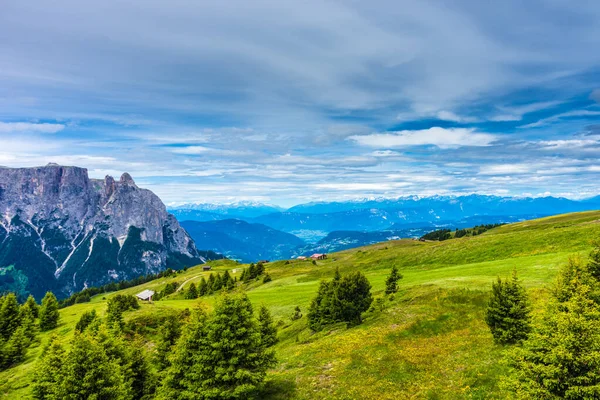 Ιταλία Alpe Siusi Seiser Alm Sassolungo Langkofel Dolomite Ένα Μεγάλο — Φωτογραφία Αρχείου