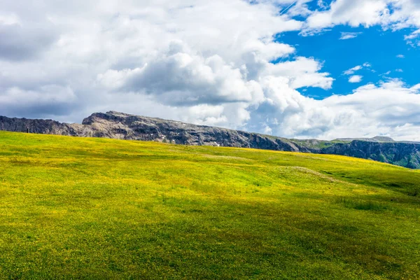 Italien Seiser Alm Seiser Alm Mit Langkofel Dolomiten Nahaufnahme Einer — Stockfoto