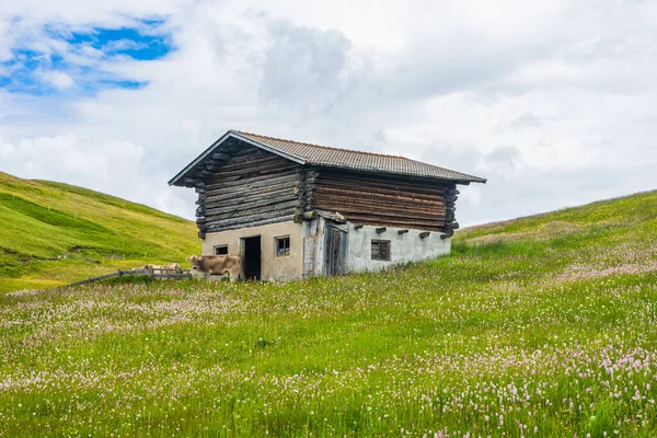 Italia Alpe Siusi Seiser Alm Con Sassolungo Langkofel Dolomite Antiguo — Foto de Stock