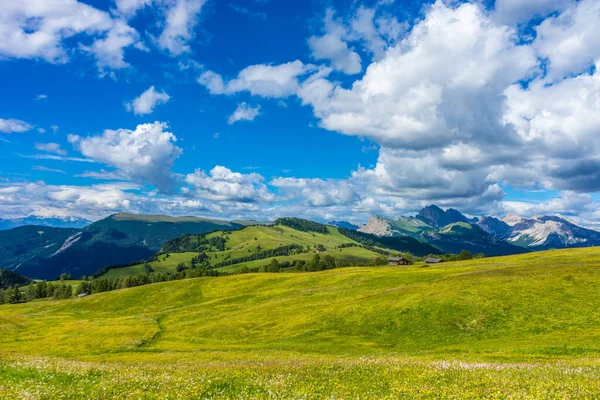 Włochy Alpe Siusi Seiser Alm Sassolungo Langkofel Dolomite Duże Zielone — Zdjęcie stockowe