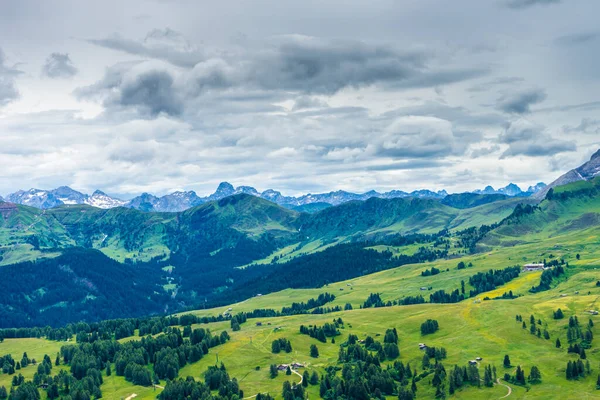 Alpe Siusi Seiser Alm Sassolungo Langkofel Dolomite Svěží Zelené Pole — Stock fotografie