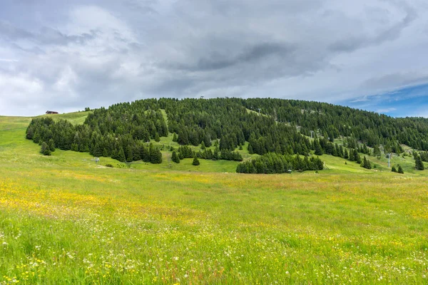 Italia Alpe Siusi Seiser Alm Con Sassolungo Langkofel Dolomite Primer — Foto de Stock