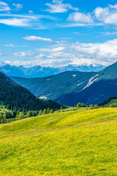 Włochy Alpe Siusi Seiser Alm Sassolungo Langkofel Dolomite Pole Górą — Zdjęcie stockowe