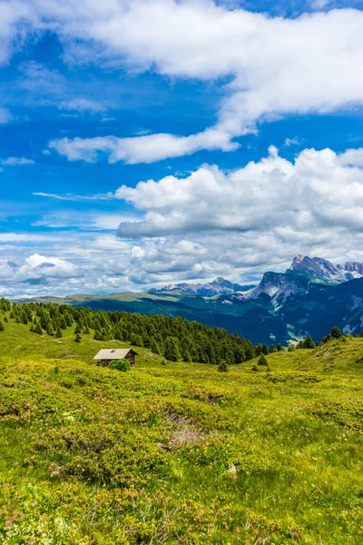 Italia Alpe Siusi Seiser Alm Con Sassolungo Langkofel Dolomite Gran — Foto de Stock