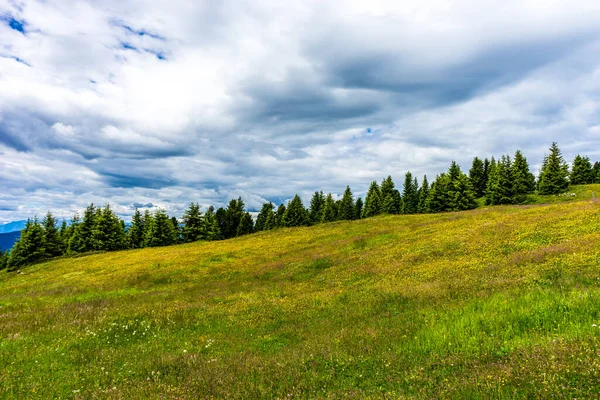 Italia Alpe Siusi Seiser Alm Con Sassolungo Langkofel Dolomite Primer — Foto de Stock