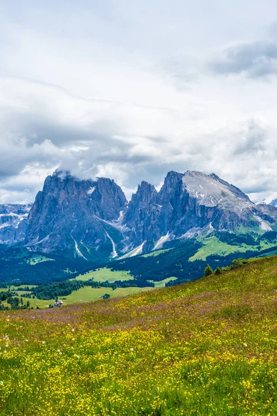 Ιταλία Alpe Siusi Seiser Alm Sassolungo Langkofel Dolomite Ένα Χωράφι — Φωτογραφία Αρχείου