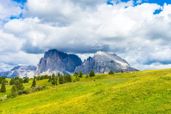 Italy Alpe Siusi Seiser Alm Sassolungo Langkofel Dolomite Field Mountain — Stock Photo, Image