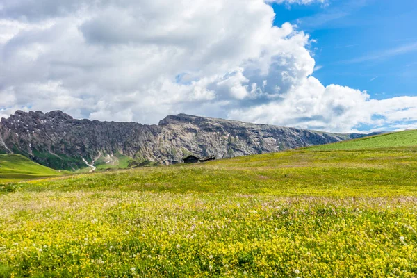 Italia Alpe Siusi Seiser Alm Con Sassolungo Langkofel Dolomite Gran — Foto de Stock