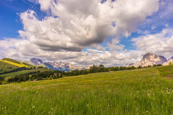 Italia Alpe Siusi Seiser Alm Con Sassolungo Langkofel Dolomite Gran —  Fotos de Stock