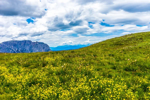 Italia Alpe Siusi Seiser Alm Con Sassolungo Langkofel Dolomite Una —  Fotos de Stock