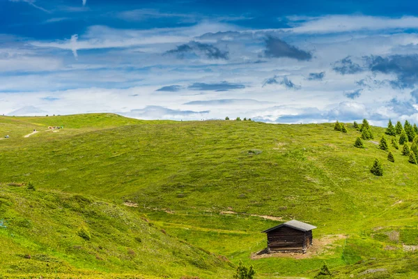 Italien Seiser Alm Seiser Alm Mit Langkofel Dolomiten Eine Schafherde — Stockfoto