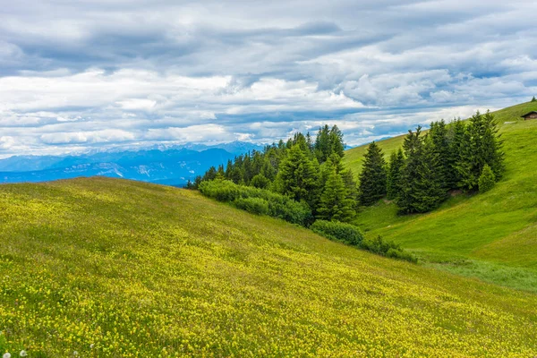 Italia Alpe Siusi Seiser Alm Con Sassolungo Langkofel Dolomite Primer — Foto de Stock