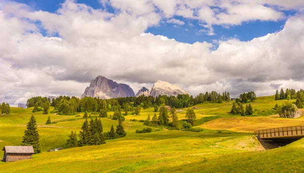 意大利 Alpe Siusi Seiser Alm Sassolungo Langkofel Dolomite 一片茂密的绿地 — 图库照片