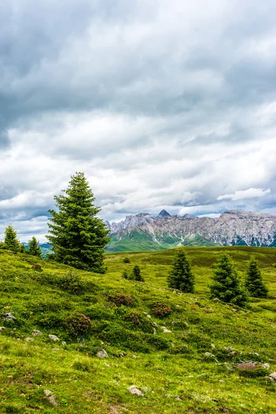 Italia Alpe Siusi Seiser Alm Con Sassolungo Langkofel Dolomite Gran — Foto de Stock