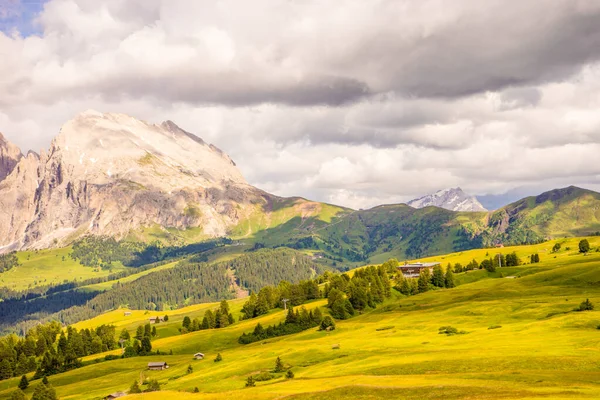 Alpe Siusi Seiser Alm Con Sassolungo Langkofel Dolomite Primer Plano —  Fotos de Stock